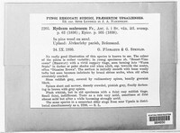 Image Associated With the Occurence